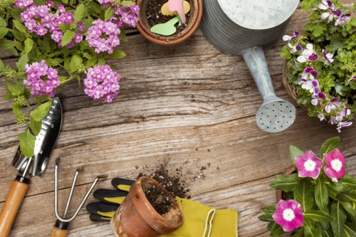 Professional hedge trimming services enhancing a garden in Plumstead