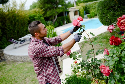A man with short dark hair, wearing a red and white checkered shirt and gardening gloves, is trimming a bush of pink roses in a well-maintained garden. In the background, there is a neatly kept lawn with lush green grass, bordered by a variety of shrubs and mature trees that provide shade and privacy. Beyond the garden bed containing the roses, a rectangular swimming pool with clear blue water is visible, surrounded by a paved area with a grey sun lounger positioned nearby. The environment appears to be outdoors on a partly cloudy day, with natural light highlighting the vibrant colors of the plants, the lush foliage, and the light-colored paving stones. The scene reflects professional gardening work, specifically hedge and shrub maintenance, aligning with landscaping and lawn care services offered by Hedge Trimming Plumstead.