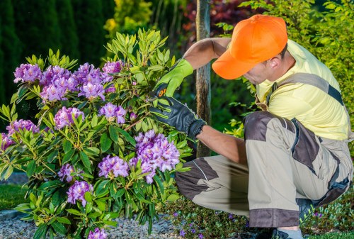 Garden debris removal services