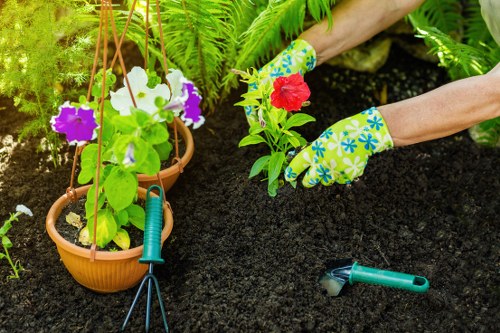 The image shows a gardener's hands wearing colorful gardening gloves while planting a bright red flowering plant into dark, well-tilled soil within a cultivated garden bed. To the left, there are hanging terracotta pots containing blooming purple and white flowers, supported by green plant supports. A small, handheld garden tool with a green handle rests on the soil nearby. The background includes lush green ferns and foliage, indicating a well-maintained outdoor garden space. The scene suggests active gardening work in a front or back garden in Plumstead, with tidy borders and healthy, thriving plants, consistent with professional gardening and hedge trimming services provided by Hedge Trimming Plumstead. Natural sunlight enhances the vivid foliage and flower colours, highlighting the outdoor environment's vibrant and inviting appearance, suitable for garden maintenance and landscaping activities.