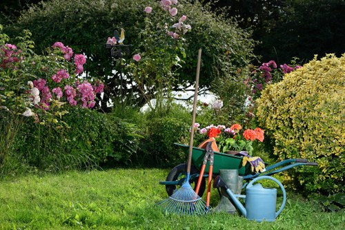 Close-up of hedge trimming equipment and cuttings