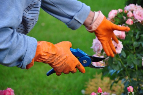 Technician reviewing hedge cutting work for investigation and quality check