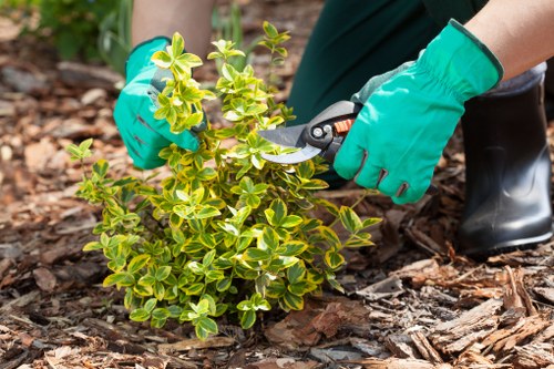Essential garden maintenance tasks being performed