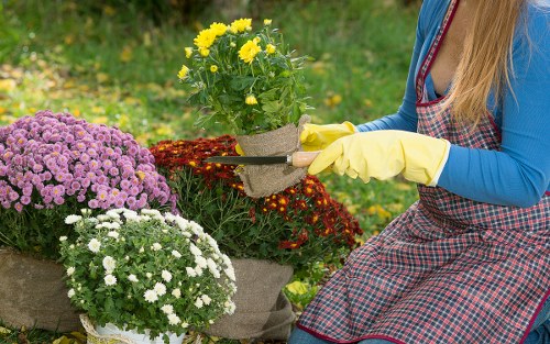 Seasonal lawn care activities in Plumstead