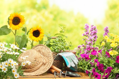 Lush lawn maintained by lawn mowing service