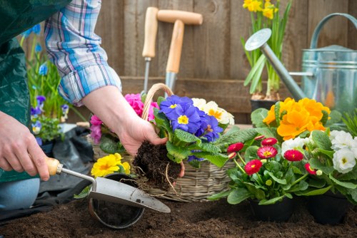 Selection of plants suitable for Plumstead gardens