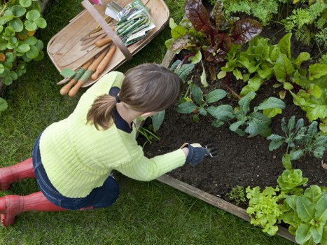 Professional lawn mower working on a Plumstead garden