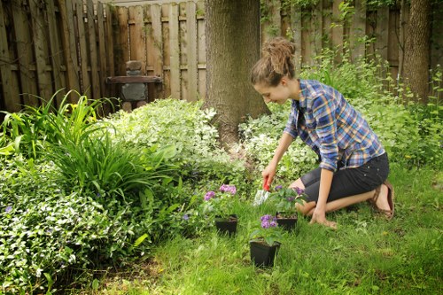 Eco-friendly lawn mowing equipment in use