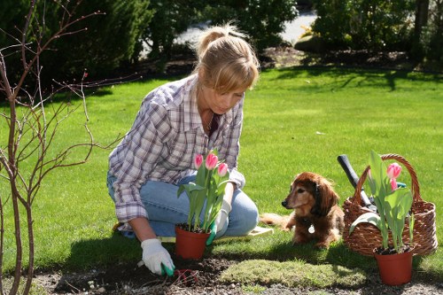 State-of-the-art hedge trimming tools